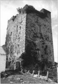 Bourchiers' Castle, Lough Gur, County Limerick,an elegant fifteenth century Irish Gothic tower house.