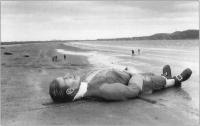 A seventy-foot model of Gulliver,constructed for Dublin Millenium, was eventually beached on Dollymount Strand in July 1988.