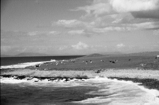 View along the western coastline of Aughris headland-'The Tara of Tireragh'â€“County Sligo.