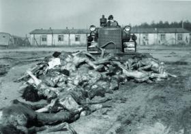 When the British Army and Red Cross liberated Belsen they were faced with the task of clearing away 60,000 corpses. Collis wrote a book detailing his Belsen experiences. (Imperial War Museum)