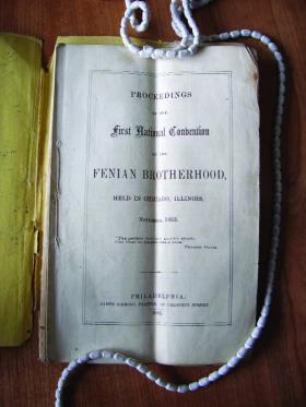 The Fenians in America were able to operate in the open, holding conferences, such as the one above, and even printing the proceedings. (National Archives of Ireland)