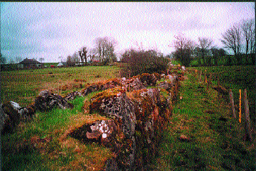 Part of the still extant enclosure wall. (Vera Orchel)