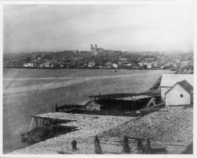 St John’s, Newfoundland. Note the Catholic basilica of St John the Baptist on the brow of the hill. (Provincial Archives of Newfoundland and Labrador)