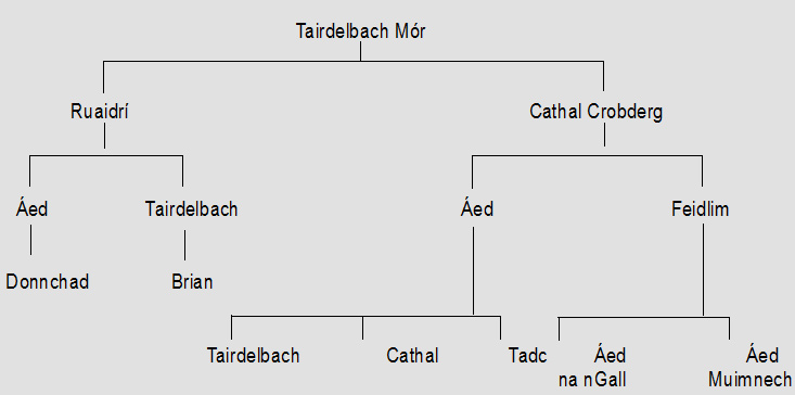 Normans & Natives in Medieval Connacht 3