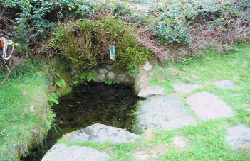 Toberpatrick near Tinahely, Co. Wicklow-wells such as this testify to the diffusion and continuity of Patrick's cult. 