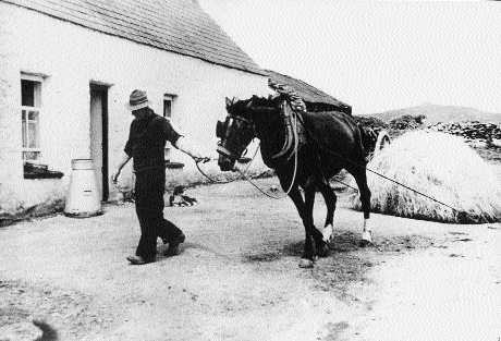 The First Agricultural Broadcasts on 2RN 1