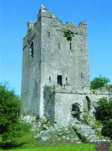 Clonony Castle, a tower-house that was inhabited by Matthew de Renzy, a German-born merchant, in the years preceding the 1620 plantation of Delvin MacCoughlan.