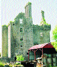 Ballycowan Castle, a fortified house with windows and chimney-stacks characteristic of the early seventeenth century but with a machicolation at roof level above the doorway and a bartizan projecting out from the north-east corner of the building, defensive features more typical of tower-houses.