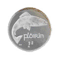 coin13