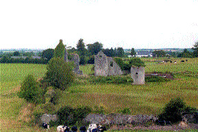 Ballymooney Castle, Oakley Park near Seir Kieran, a fortified house built by the O'Carrolls of Ely O'Carroll.