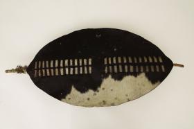 A Zulu shield, war trophy of Lieutenant Nevill Coghill (top), donated in 1879 by his father to Dublin’s Museum of Science and Art. (National Museum of Ireland)