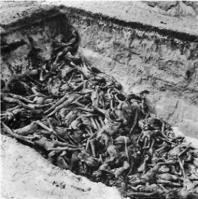 A mass grave in Bergen-Belsen concentration camp shortly after liberation in April 1945. Aiséirghe had its greatest electoral success at the precise moment when such newsreel footage was being displayed on cinema screens across Ireland. In July 1945 Aiséirghe’s film-critic, described such footage as ‘hate-mongering’ fabrication. (wikimedia)