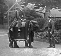 Keepers sitting on a young Indian elephant in Dublin.