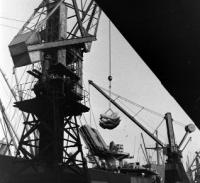 Food being unloaded at Calcutta port. In late July 1943 the viceroy, Lord Linlithgow, demanded food imports as a matter of extreme urgency, no matter ‘how unpalatable this demand must be to HMG’. Yet by mid-October the secretary for state for India, Leo Amery, was still referring in public only to ‘scarcity verging on famine’. Churchill was even less sympathetic, referring to ‘Indians breeding like rabbits and being paid a million a day by us for doing nothing about the war’.(William Vandivert, Life)