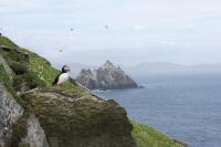 At the landing point Watson recorded the extraordinary sounds of the thousands of sea birds swarming around the summit, and even those—puffins—burrowing within it. (Edward Bourke)