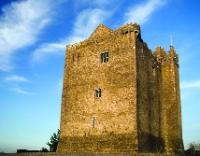 Redwood Castle, Co. Tipperary, site of the law school maintained by the Mac Aodhagáin clan, who were hereditary brehons.