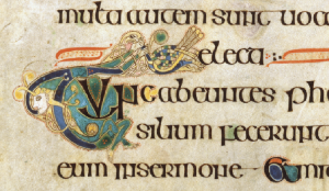 Above: It would be a huge mistake to imagine that Irish monks of the eighth century were incapable of laughter or amusement. In this case an initial T is formed by an elasticated man, who lethargically stretches out his arms to catch a passing bird, evidently a peacock. The passage (from St Matthew’s Gospel) describes how the Pharisees took council as to how they might ensnare or seize Christ. As the peacock was seen as a symbol of Christ, this is a witty response to the words of the text. (The Book of Kells, folio 96r, © The Board of Trinity College Dublin 2013)