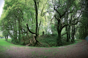 Brian Boru’s Fort, Killaloe, Co. Clare. In the Annals of the Four Masters Brian is identified as a member of the Uí Thoirdelbaig, whose territory was in the vicinity of Killaloe. (T. Blake and F. Reilly, Ancient Ireland—exploring Irish historic monuments [The Collins Press, 2013])