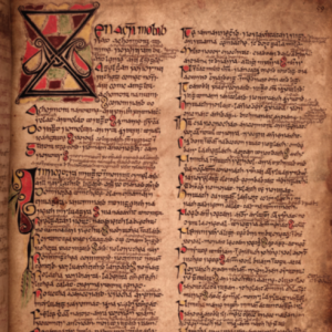 Prologue of the Feilire Oengusso from the White Earl’s Book. Edmund MacRichard inherited this manuscript from his uncle, James, the ‘White Earl’ of Ormond, and added to it the 110 folios of his own ‘Book of Pottlerath’. (Bodleian Library, Oxford)