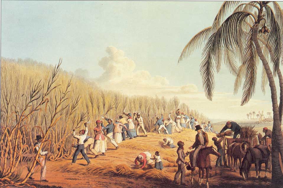 Black slaves cutting sugar cane on a plantation established by the Delaps of Donegal, from Ten views of the island of Antigua by William Clarke, 1823. (British Library)